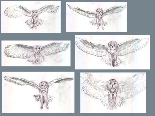 flying_owl___frame_by_frame_animation__44__by_hedwigs_art-d8hugid
